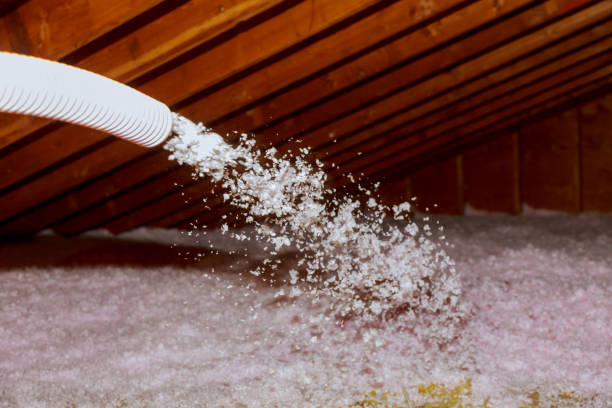  Shannon, MS Insulation Contractor Pros