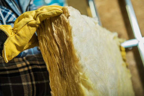 Best Specialty Insulation in Shannon, MS