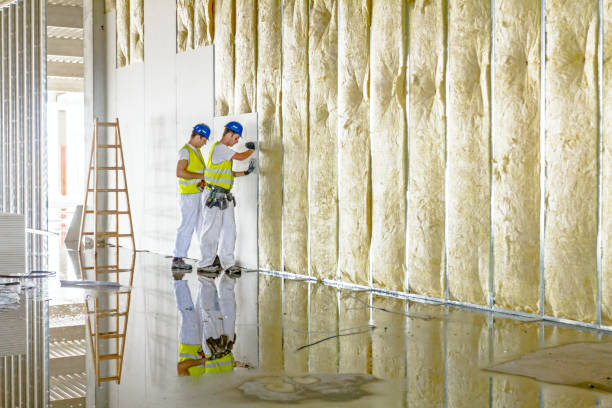 Best Commercial Insulation in Shannon, MS